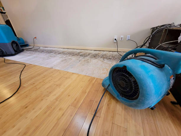 Professional Flood Damage Cleanup technician working in Stratford, CA